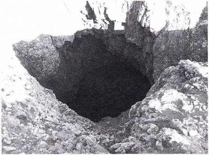 Első sikeres felmérése még csak néhány éve történt (STE FÁNSSON 1992).