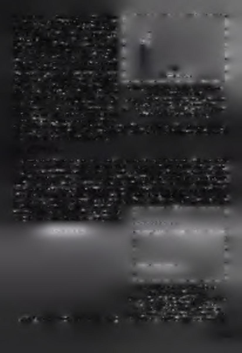 környezetben, a mélyben összefüggő rendszert alkotó barlangokat (SKINNER 1993).