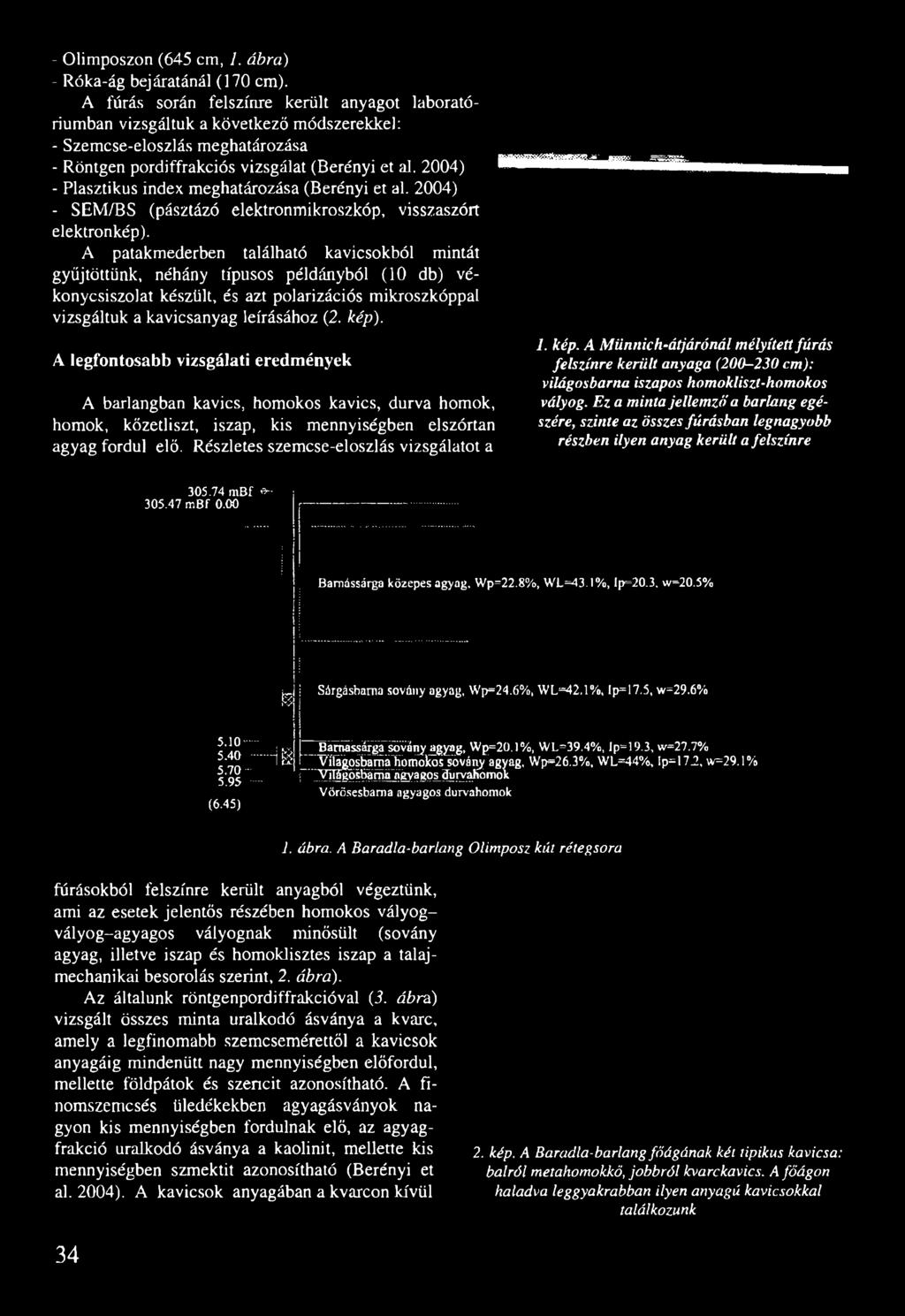 (Berényi et al. 2004) - Plasztikus index meghatározása (Berényi et al. 2004) - SEM/BS (pásztázó elektronmikroszkóp, visszaszórt elektronkép).