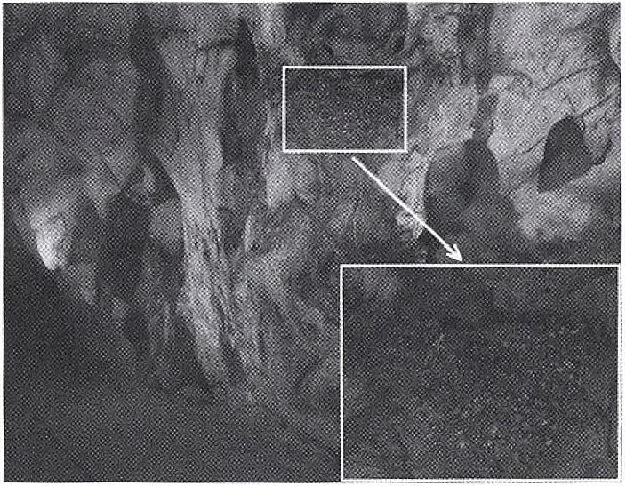 A feltárásban megfigyelhető a lapos jelleget mutató kavicsok zsindelyes elrendezése, amelyből pontosan rekonstruálni lehetett az üledéklerakódás idején a barlangi patak folyásirányát, amely