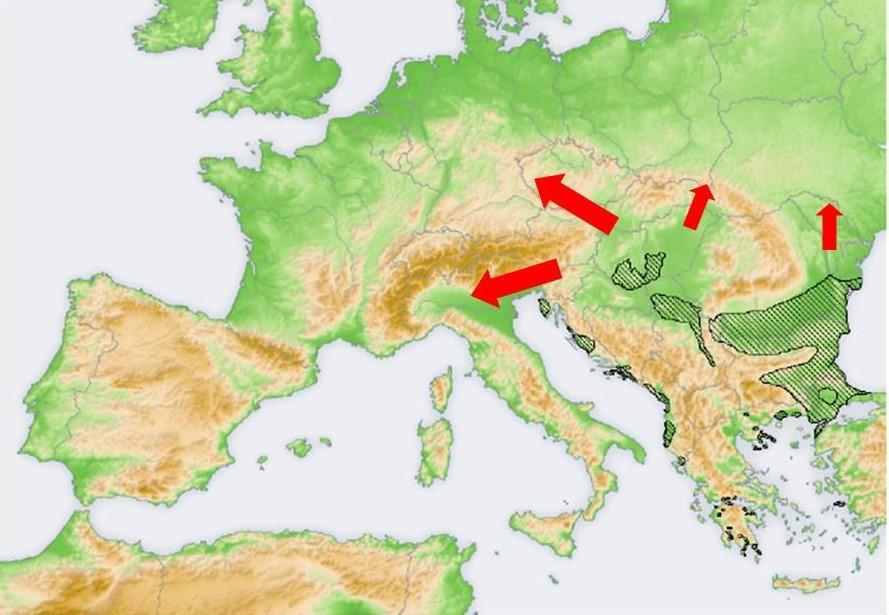 1. térkép: Az aranysakál elterjedése és lehetséges terjedési útvonalai Európában (Arnold és munkatársai 2012 után módosítva) Az állománynagyság és az elterjedési terület növekedése már