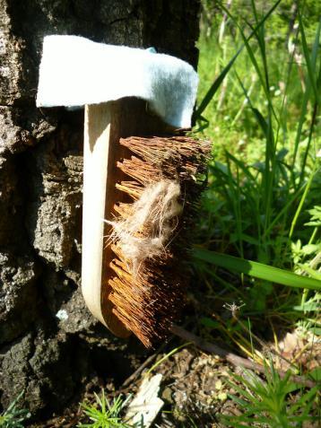 kidolgozása; Genetika módszerek fejlesztése; Kotorékbecslés módszertanának