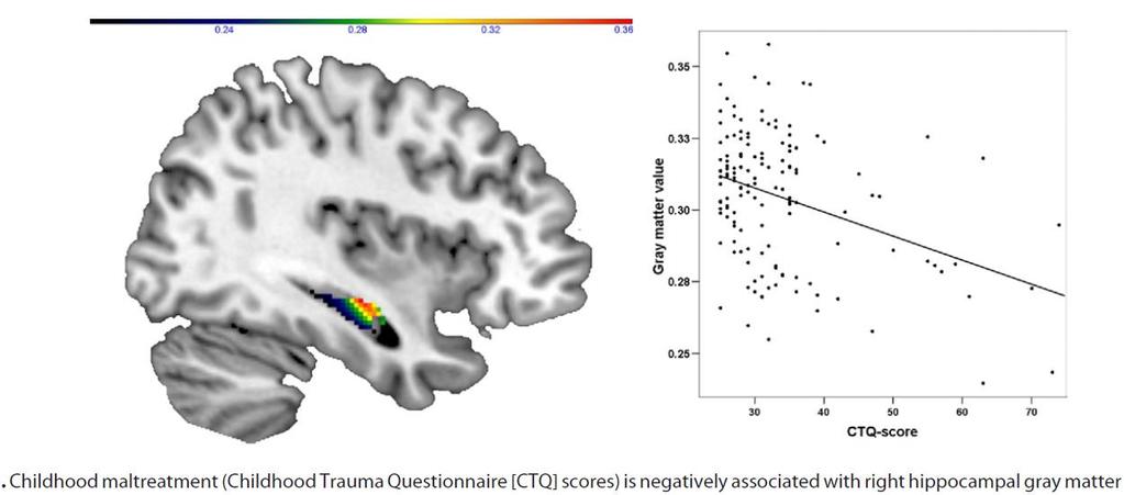 emberben: fmri