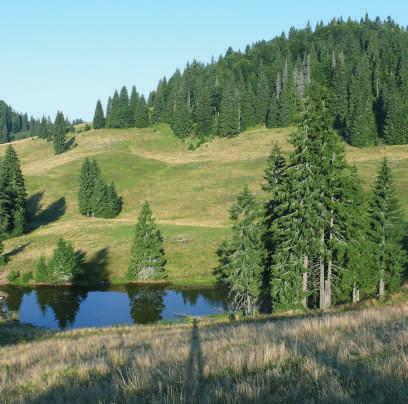 4 Elhelyezkedés: az Erdélyi-Szigethegység középső részén helyezkedik le, három megye területét érintve: Bihar, Kolozs és Fehér.