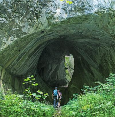 V É RTO P Ü D Ü LŐ FA LU Ugyancsak a natúrpark területén található a legmagasabb bejárattal rendelkező barlang (Csodavár 76 m), a legtágasabb barlangbejárat (Nagy Kojba barlang, 54x45 m), Románia