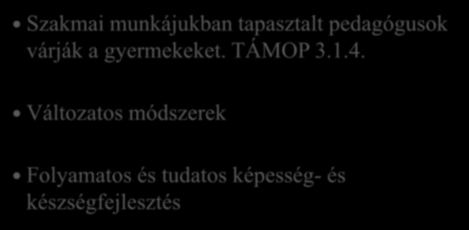 MIT KÍNÁLUNK? Szakmai munkájukban tapasztalt pedagógusok várják a gyermekeket.