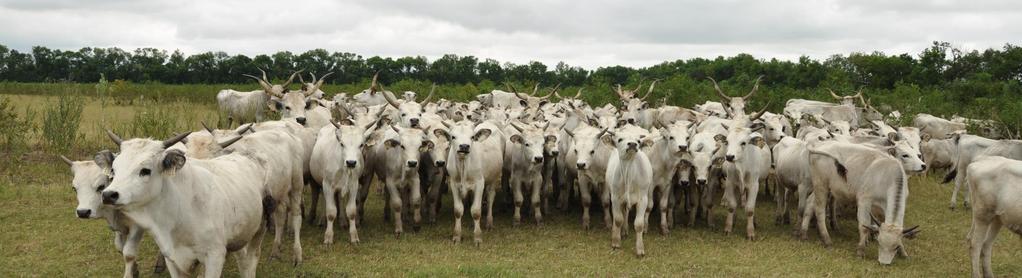 I. Natura 2000 fenntartási terv 3.