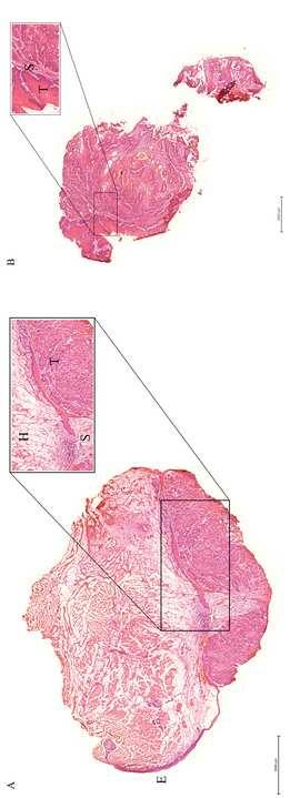 Figure 1 Click here to