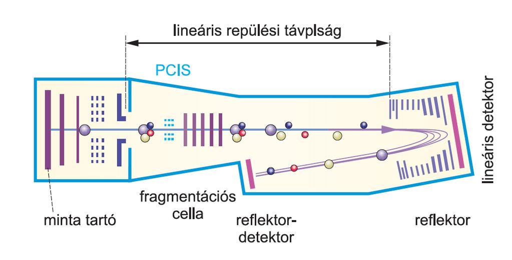 8. ábra: A repülési idő analizátor felépítése és működési elve [A fehérjekutatás modern módszertana, Medicina kiadó, 2011.