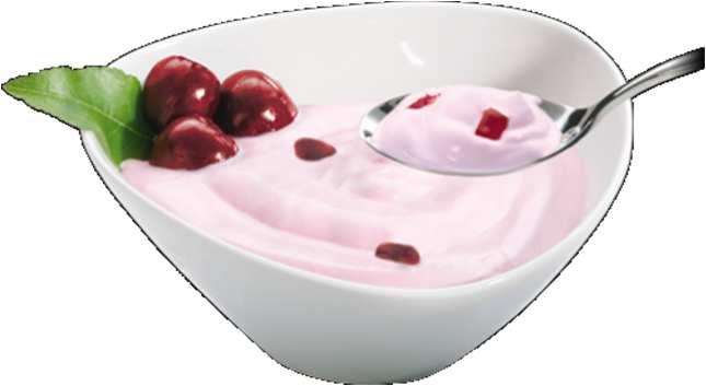 Joghurt Joghurtkultúra: Streptococcus