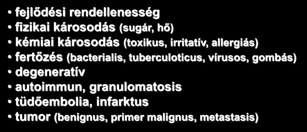 A tüdő betegségei: fejlődési rendellenesség fizikai károsodás (sugár, hő) kémiai károsodás (toxikus, irritatív, allergiás) fertőzés