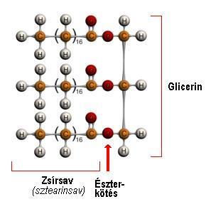 13 Emelt szintű kísérletek, szerves reakciók Letöltve: http://elte.prompt.hu/sites/default/files/tananyagok/biokemia/ch03s02.html 3, Miért nem lehet főzni a természetes eredetű zselatinoldatot?