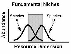 Niche- differenciáció állatok sokféle