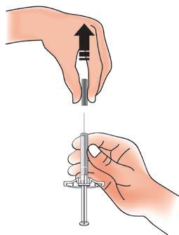 D. Az injekció beadási helyének előkészítése és tisztítása Felkar Hasi terület (has) Comb Ön vagy gondviselője az injekciót beadhatja: a combba a hasi területre, kivéve a közvetlenül a köldök körül