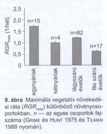 Populációnövekedési modellek Növényeknél vegetatív relatív