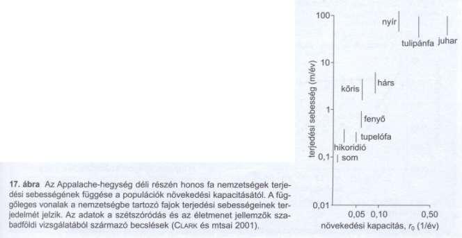 Exponenciális növekedés Jellemző a nagy területeken szétterjedő populációkra Özönfajok