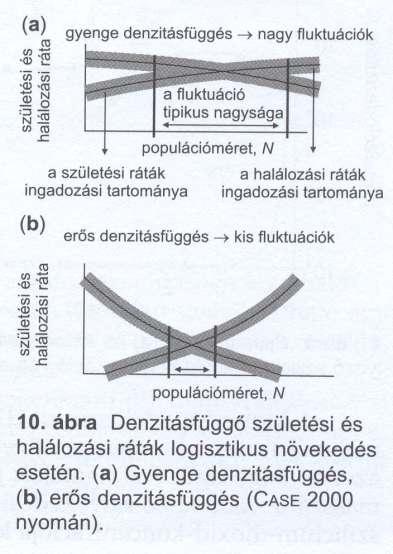 Logisztikus modell Az egyensúlyi helyzetben tapasztalt állománynagyság fluktuáció függ a