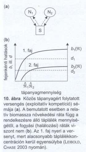 Versengés kimenetele forrás hasznosítás hatékonyságától függő Egyetlen szabályozó tényezőért