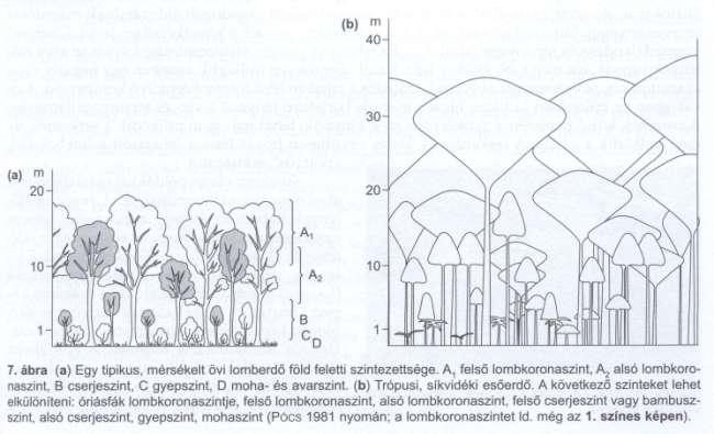 Életközösségek társulások biocönózisok - jellemzése Diverzitás - Fajkészlet (fajok száma) - Textúra Diverzitás