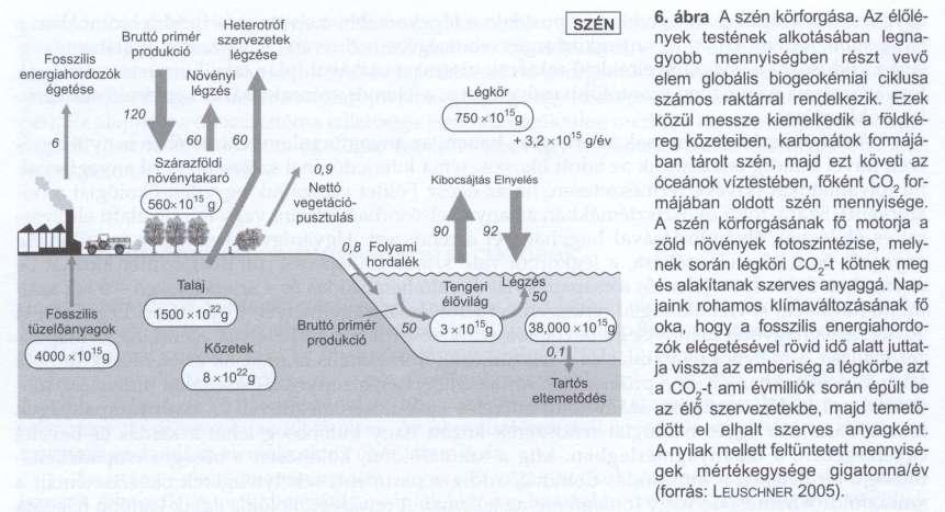 Szén Légkör (CO 2, CH 4 ) Szárazföldi és vízi növénytakaró Óceánok vízteste Biogeokémiai ciklusok Legjelentősebb raktár a