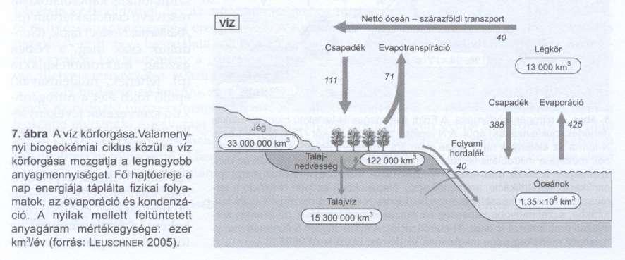 Biogeokémiai ciklusok Víz a legnagyobb anyagmennyiség mozgatása Főbb raktárak: óceánok (97%), jég (2.5%), légkörben (0.