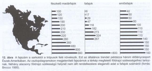 Biodiverzitás a földön A biodiverzitás az egyenlítő felé növekszik, a trópusokon a legnagyobb Nagy biomassza produkció, nagy fajszám lehetősége (táplálék piramis) A trópusokon több idő állt