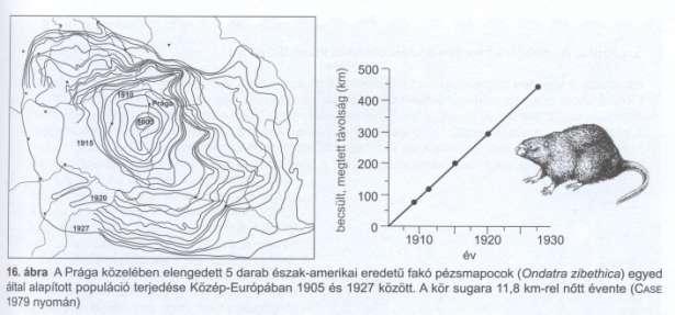 szaporodik Özönfajok A meghonosodott fajok kb.