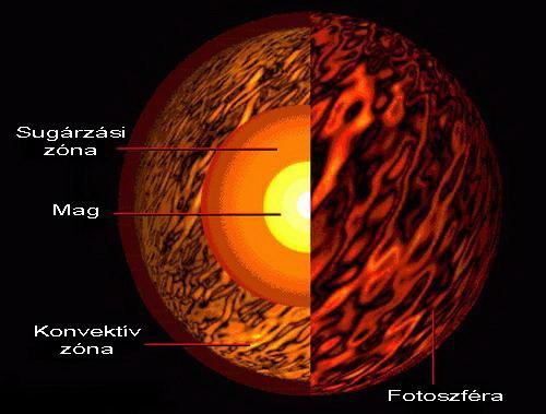 Egy fősorozati csillag belső felépítése: Mag: a fúziós energiatermelés helyszíne; itt található a tömeg nagy része, de mérete kicsi; a Nap esetében sugara kb.