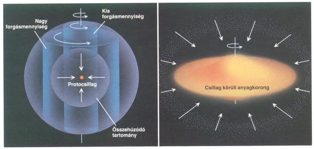 A sűrű magok belülről kifelé húzódnak össze. A forgástengelyhez közeli, kis perdületű gázrészecskék a protocsillag felszínére hullanak.