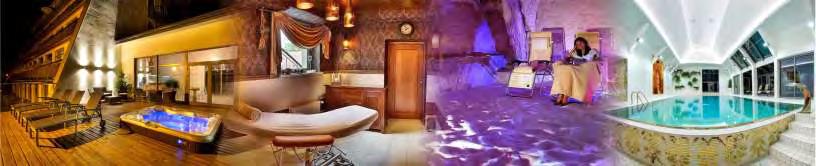 VIRGINIA, vonkajšie HOT SPRING, sauna suchá, infra a parná) UBYTOVANIE: - 15% zľava zo štandardných cien pobytov - 20% zľava z pobytových balíkov: Rehabilitačný pobyt, Pobyt chrbát ako nový a Pobyt