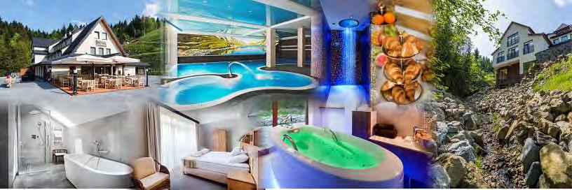 Hotel Żywiecki je štvorhviezdičkový SPA hotel situovaný v horách v blízkosti hory Jastrzębica, z ktorej možno vidieť Beskidy a pri priaznivom počasí aj Tatry.