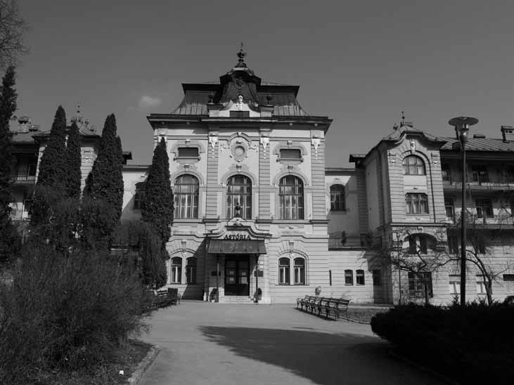 zástupca ICCROM z Uppsaly), Talianska (Jukka Jokilehto, zástupca ICCROM z Ríma), Veľkej Británie (Jane Brantom, expertka v oblasti turizmu svetového dedičstva z Newcastle), Českej republiky (Václav
