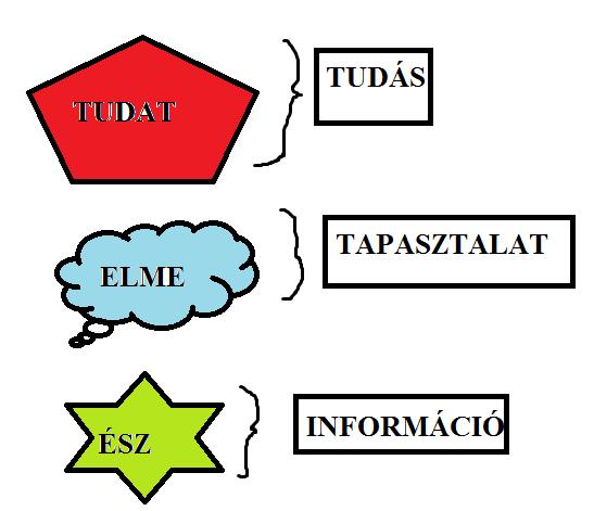 Meghatározandó, hogy a tudat a legmagasabb szintű, az elme a középső, és az ész a legalsó fokon helyezkedik el. A tudathoz a szellem, az elméhez a lélek, és az észhez a test rendelhető.