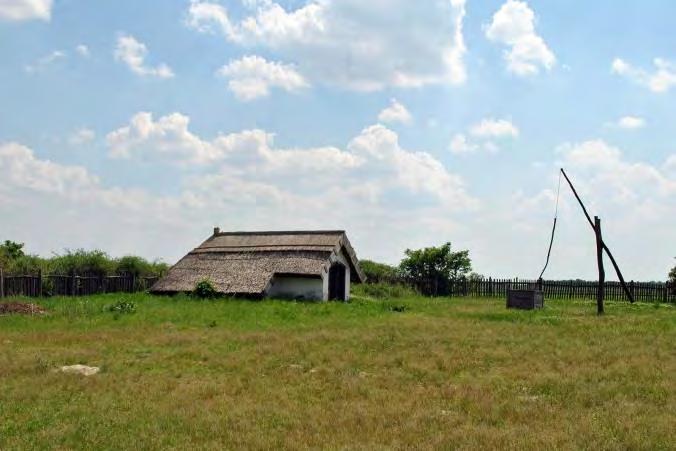 Nagy sokára egy-egy Tanya tünedez fel, boglyák és kazalok, Rajtok varju károg, itt-ott egy mogorva Komondor csavarog, Tenger szántóföldek Terjednek szerteszét, rajtok áldott búza, Lefelé hajlanak,