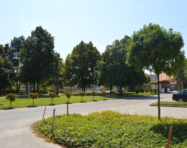 Sok helyen hiányosak a kialakított utcai fasorok, hiányzik a cserjeszint, ugyanakkor jelentős a közterületen az örökzöldek mennyisége.
