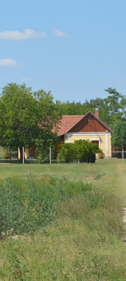 4.6. KÜLTERÜLET A település külterülete túlnyomórészt mezőgazdasági és tanyás terület.