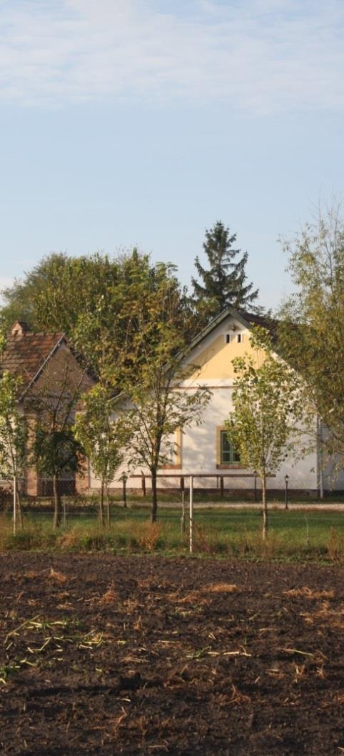 A módosabb gazdák fenyőfa deszkázatból a szegedi, alsóvárosi hangulatot idéző napsugaras
