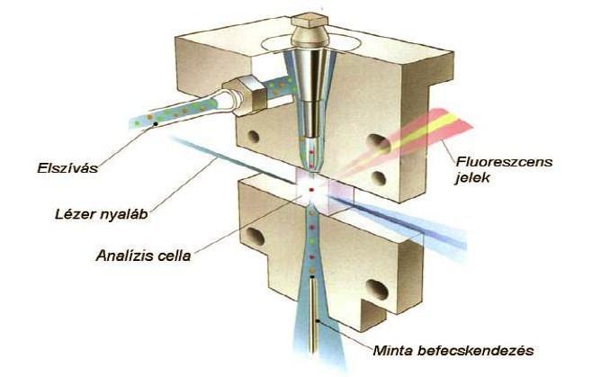 Áramlási