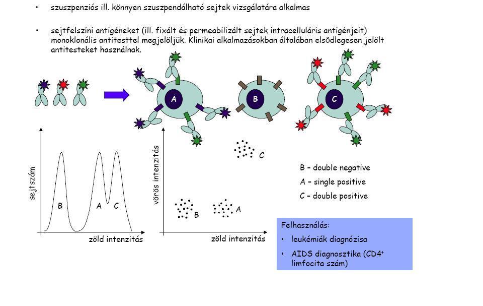 Immuntipizálás