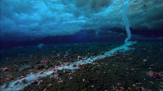 A víz sajátos viselkedése A vizet 0 ºC-ról melegítve 4 ºC-ig a térfogata nem nő, hanem csökken, sűrűsége pedig nő.