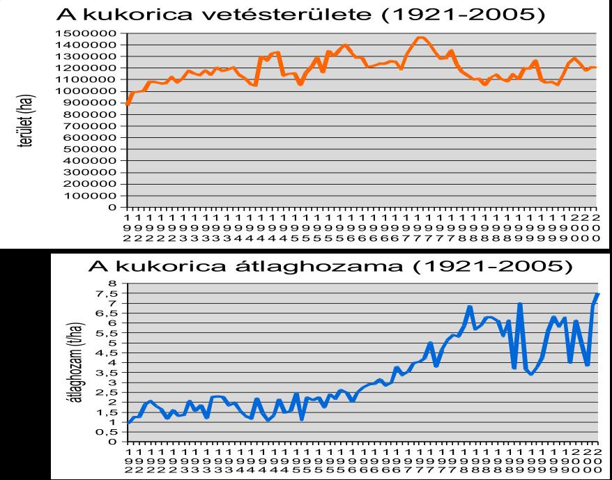 A kukorica