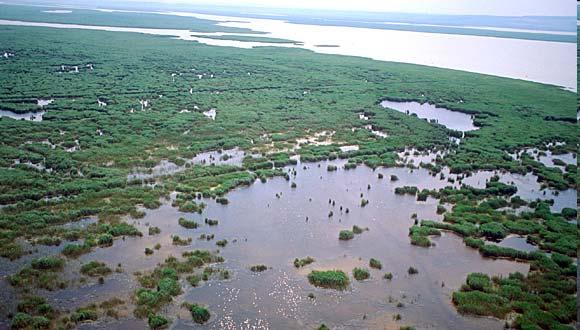 A Fertő-tó Magyarország és