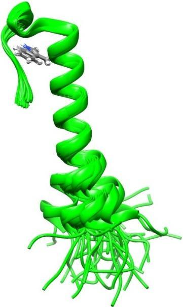 A másik eljárás a de novo design, melynek során az ismert szekvencia-szerkezet összefüggések és az aminosavak szerkezetének, töltéseloszlásának birtokában ab initio számításokon alapuló eljárással