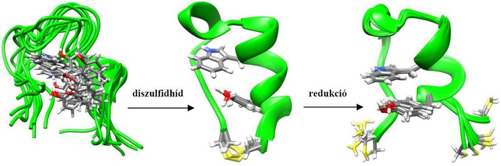 IX. Összegzés Munkám célja elsősorban annak tanulmányozása volt, hogy a diszulfidhíd beépítése és redukciója miként befolyásolja az erősen destabilizált H2 és a jól definiált szerkezettel bíró H5