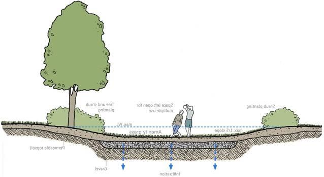 Zöld infrastruktúra típusok Infiltrációs medence Az infiltrációs medencék esetén