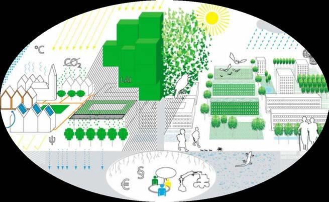 Bevezetés A fenntartható városi csapadékvízgazdálkodás számára nélkülözhetetlen legfontosabb jövőbeli