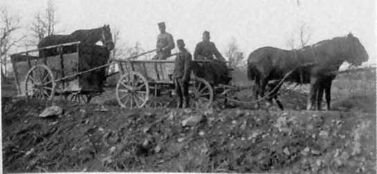 május 7-én a kormány békét kötött a központi hatalmakkal. A békeszerződést a király nem ellenjegyezte.