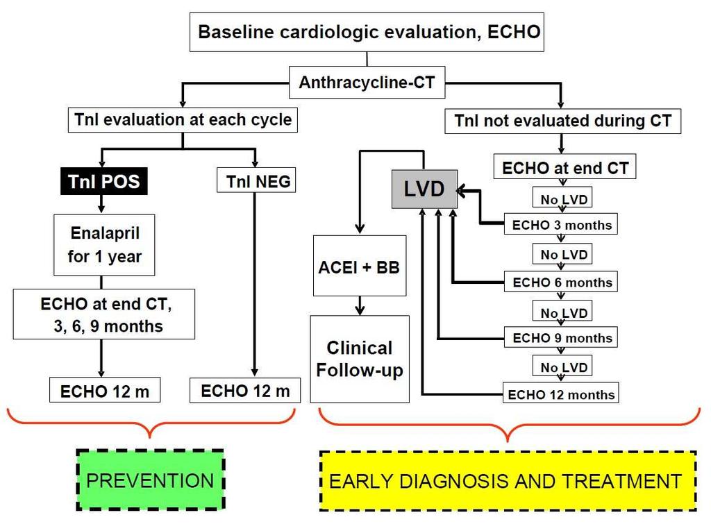 ESMO guideline2012 Anthracyclin kezelésben részesülő
