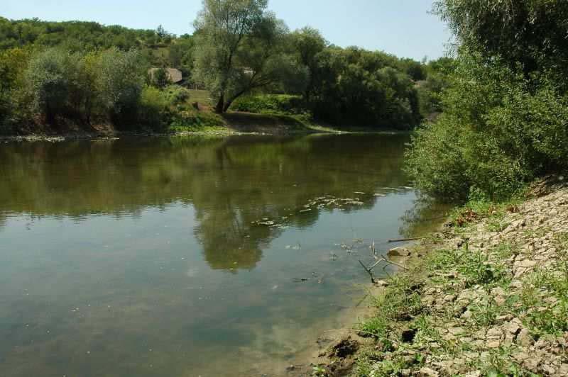 október hó); továbbá, ennek részeként - Natura2000 Hatásbecslés (Készült a NIF Zrt megbízásából. Tervező az UVATERV Zrt, 2017. október hó). Az EVD a vonatkozó 314/2005.(XII.25.). sz kormányrendelet tartalmi előírásainak megfelelően készült el és az eljárási szabályoknak megfelelően egyeztetésre került.