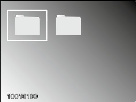 VideoScope Plus d.